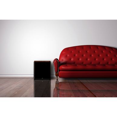 Сабвуфер Martin Logan BalancedForce 212 Black Ash